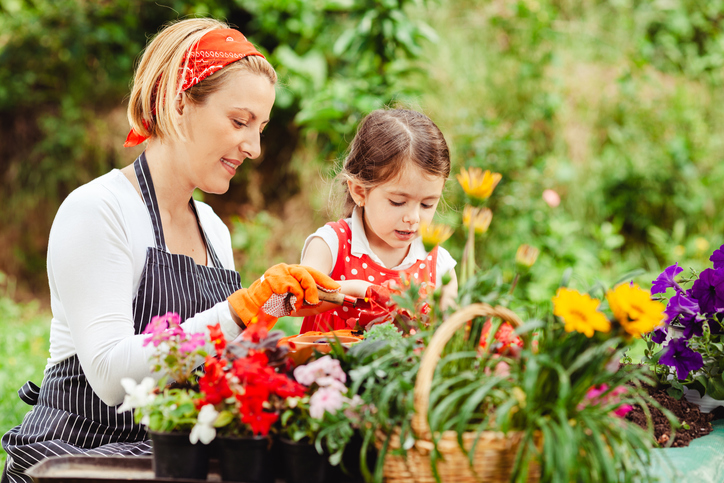 Discovering the Joys of Gardening How to Make it Your Hobby